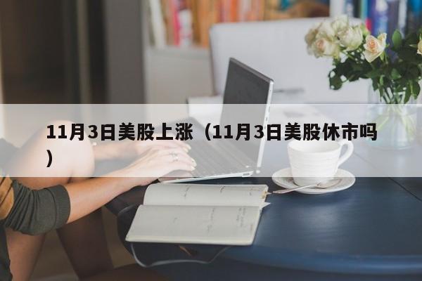 11月3日美股上涨（11月3日美股休市吗）