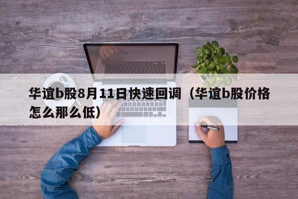 华谊b股8月11日快速回调（华谊b股价格怎么那么低）