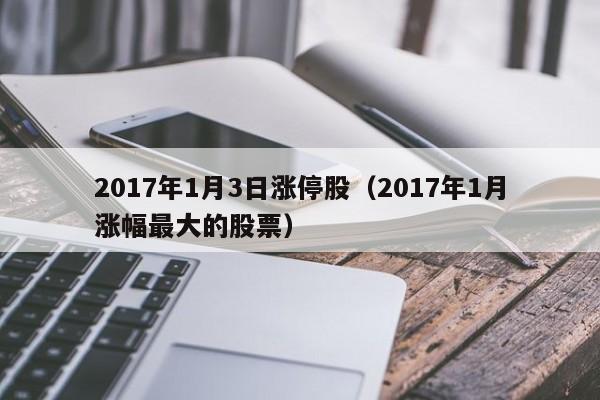 2017年1月3日涨停股（2017年1月涨幅最大的股票）