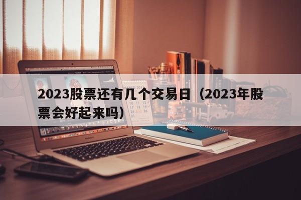 2023股票还有几个交易日（2023年股票会好起来吗）