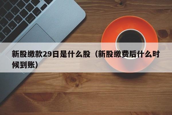 新股缴款29日是什么股（新股缴费后什么时候到账）