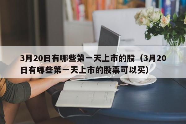 3月20日有哪些第一天上市的股（3月20日有哪些第一天上市的股票可以买）