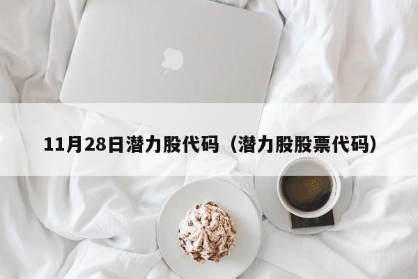 11月28日潜力股代码（潜力股股票代码）