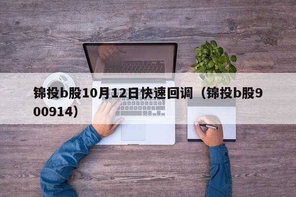 锦投b股10月12日快速回调（锦投b股900914）