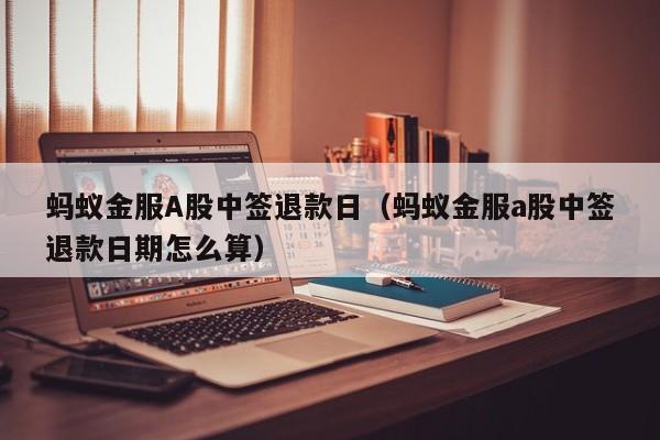 蚂蚁金服A股中签退款日（蚂蚁金服a股中签退款日期怎么算）
