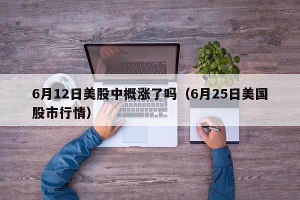6月12日美股中概涨了吗（6月25日美国股市行情）